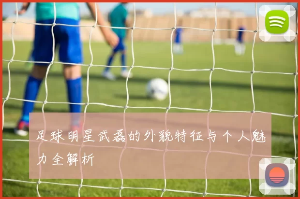 足球明星武磊的外貌特征与个人魅力全解析