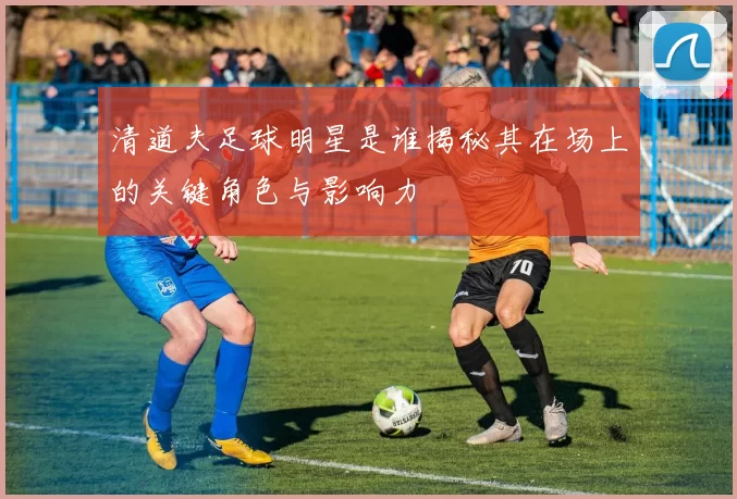清道夫足球明星是谁揭秘其在场上的关键角色与影响力