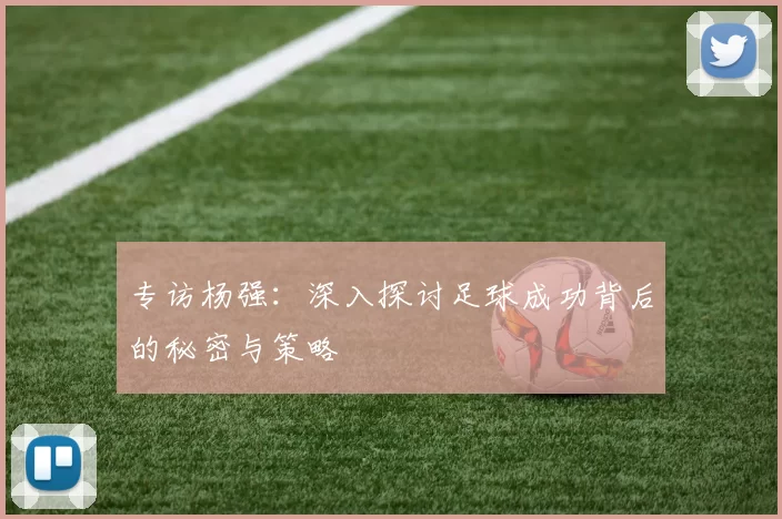 专访杨强：深入探讨足球成功背后的秘密与策略