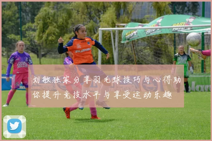 刘敏独家分享羽毛球技巧与心得助你提升竞技水平与享受运动乐趣