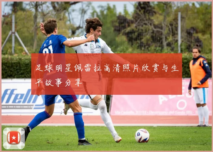 足球明星佩雷拉高清照片欣赏与生平故事分享