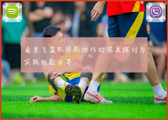 南京飞盘队团队协作的深度探讨与实践经验分享
