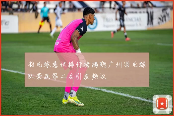 羽毛球意识排行榜揭晓广州羽毛球队荣获第二名引发热议