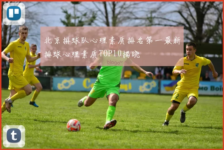 北京排球队心理素质排名第一最新排球心理素质TOP10揭晓