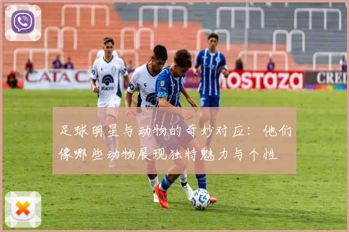 足球明星与动物的奇妙对应：他们像哪些动物展现独特魅力与个性