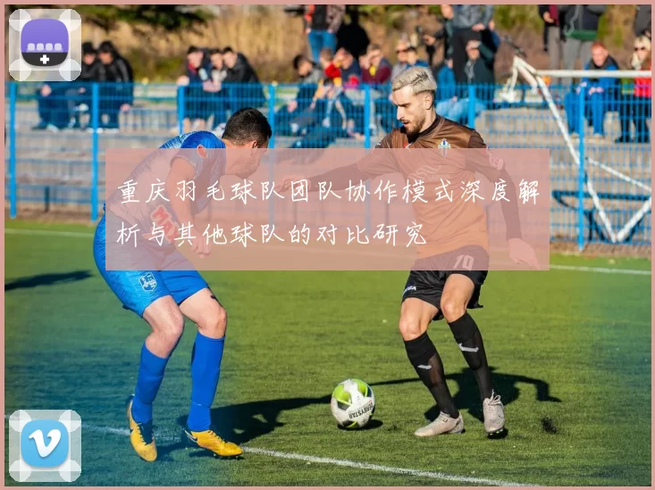 重庆羽毛球队团队协作模式深度解析与其他球队的对比研究